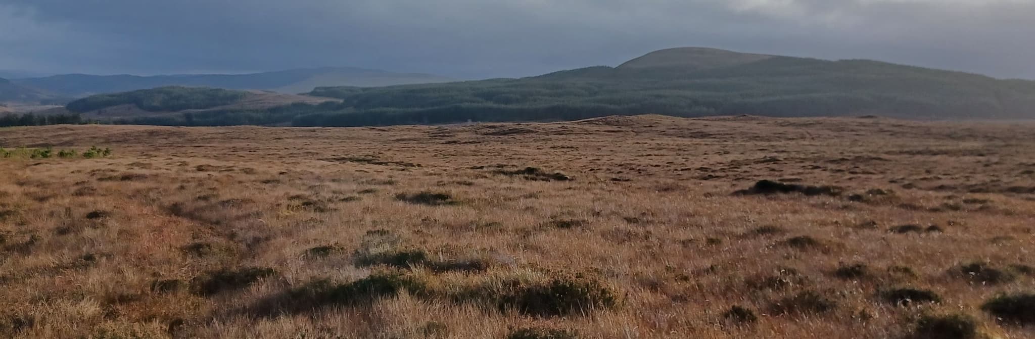 20251113_111303 (1).jpg