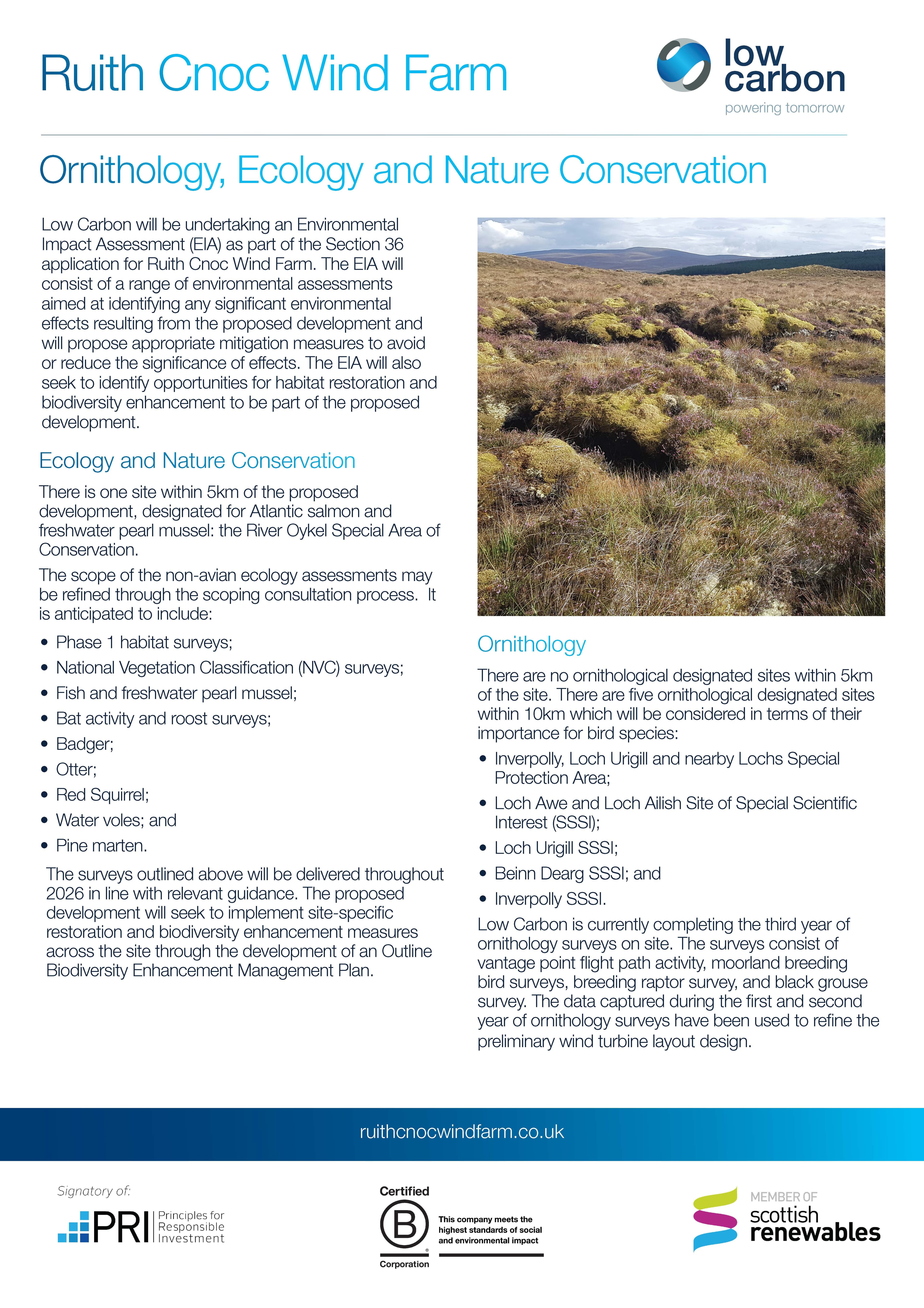 Ruith Cnoc Wind Farm boards - FINAL 12.01.26 (digital)_Page_06.jpg